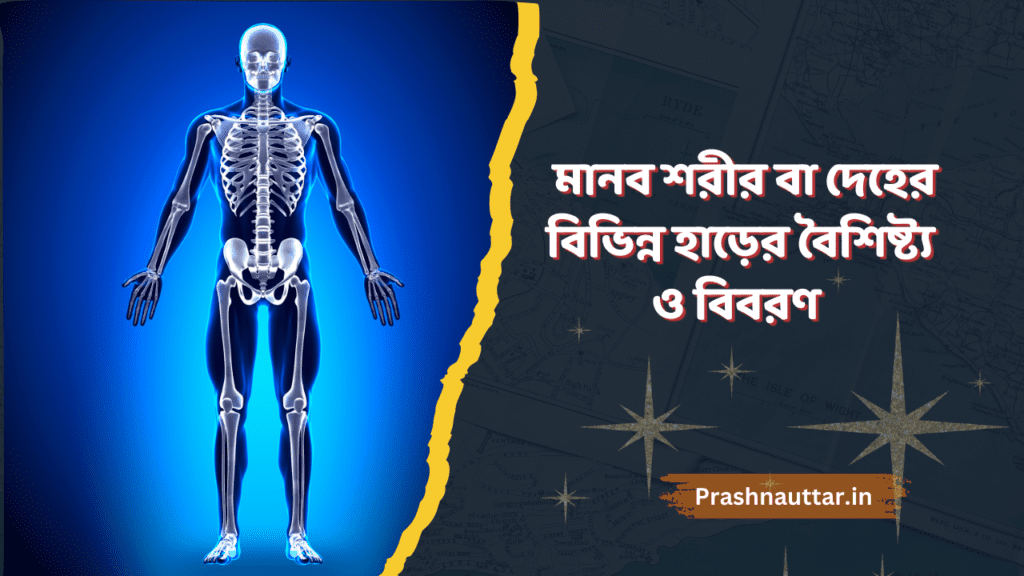 মানব শরীর বা দেহের বিভিন্ন হাড়ের বৈশিষ্ট্য ও বিবরণ